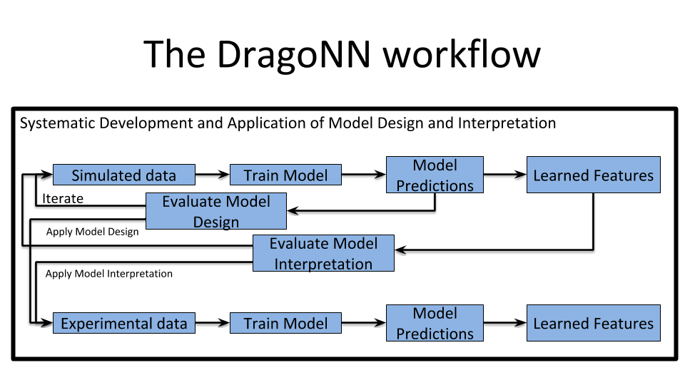dragonn_workflow